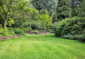 Optimiser l'expérience du jardin à Breuil-le-Sec